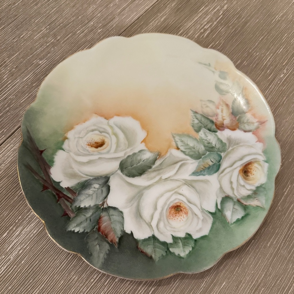 Vintage Bavaria Hand Floral Print German J.C.& G.H.B. Co Findlay Collector Plate
